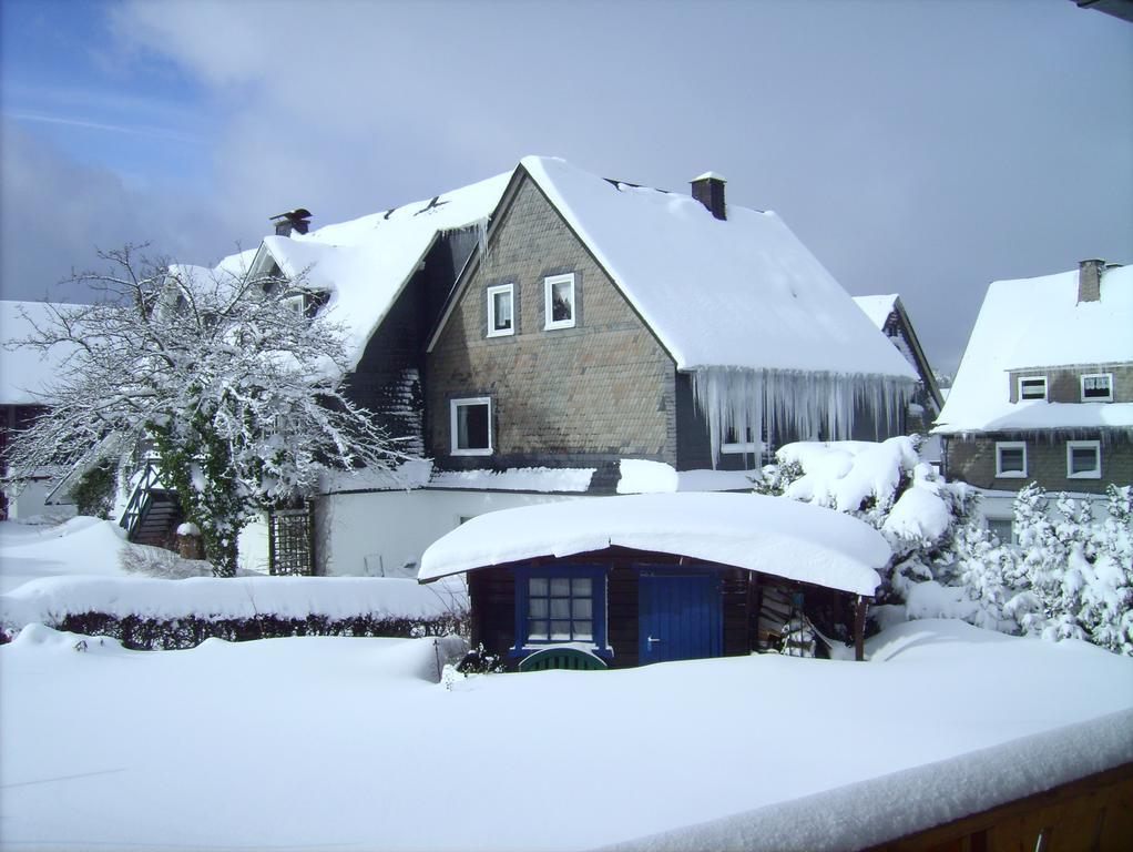Ferienwohnung Boerner Winterberg Luaran gambar